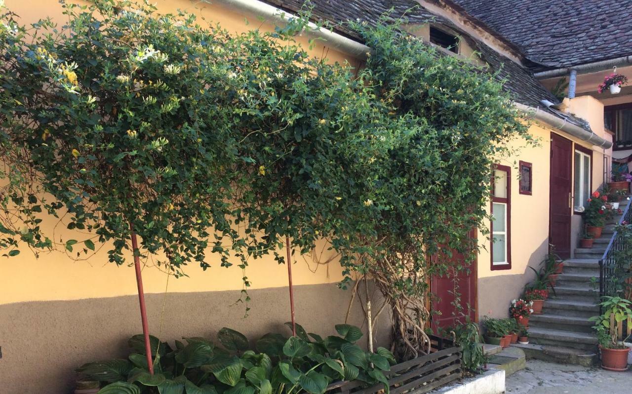 Iony Apartament Sibiu Dış mekan fotoğraf